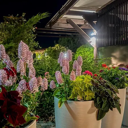 Szumi Holiday home *