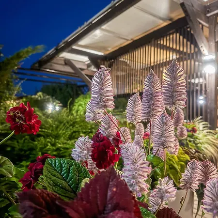 Szumi * 科沃布热格